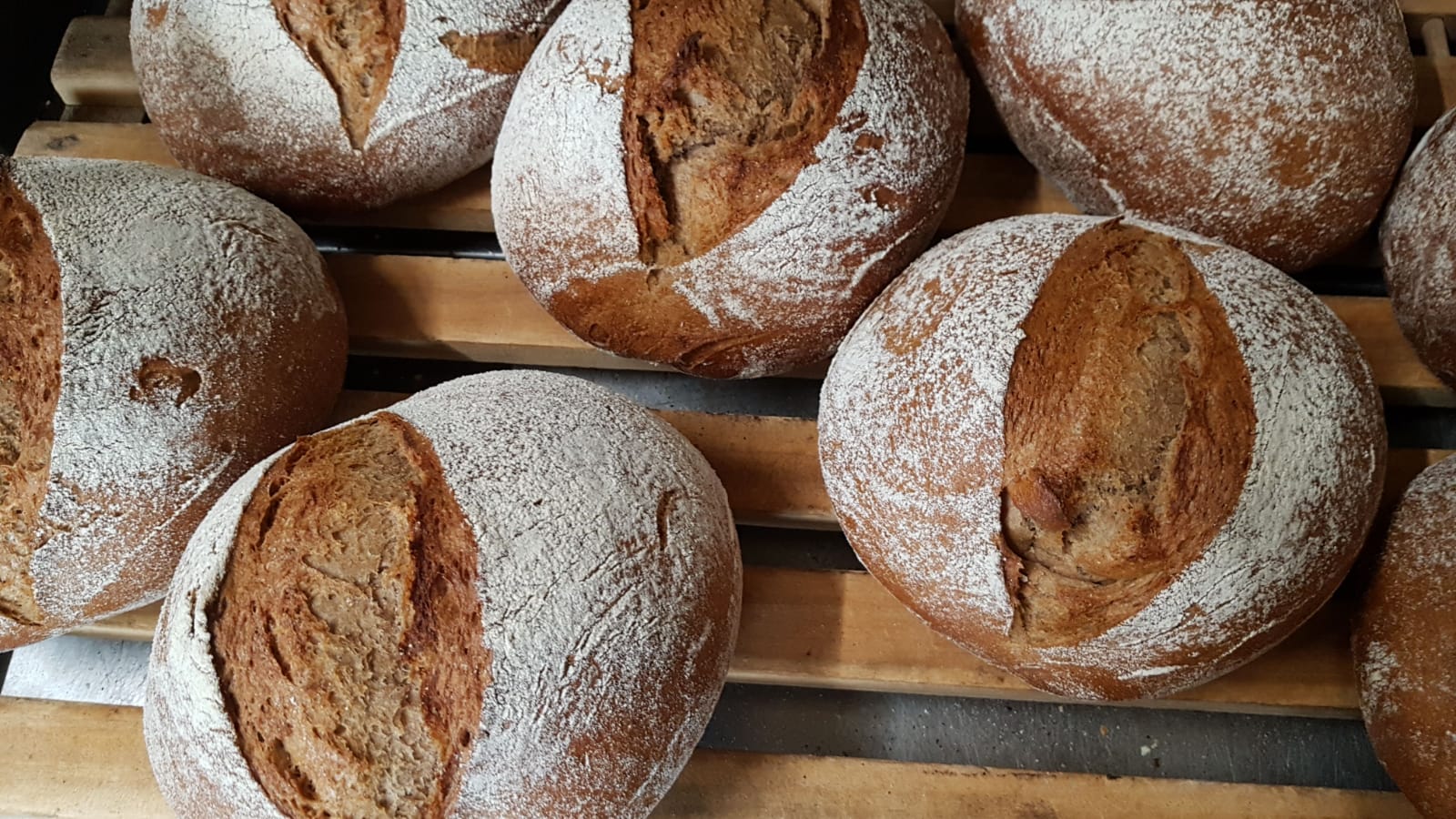 Frische Bauernbrote